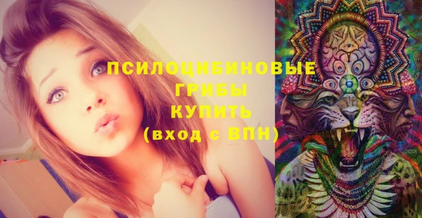 метадон Алексеевка
