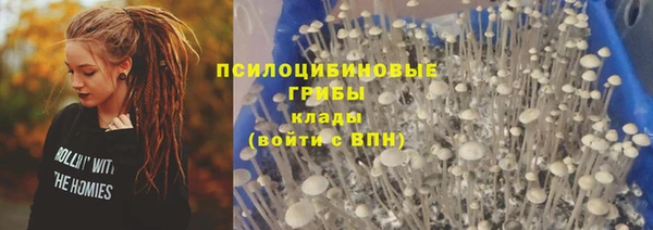 каннабис Алзамай