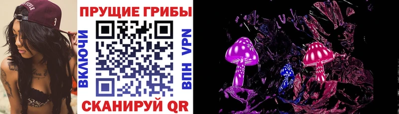 Псилоцибиновые грибы мицелий  Киров 